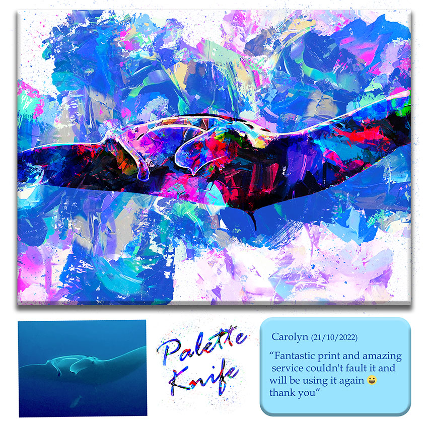 Palette knife of a manta-ray